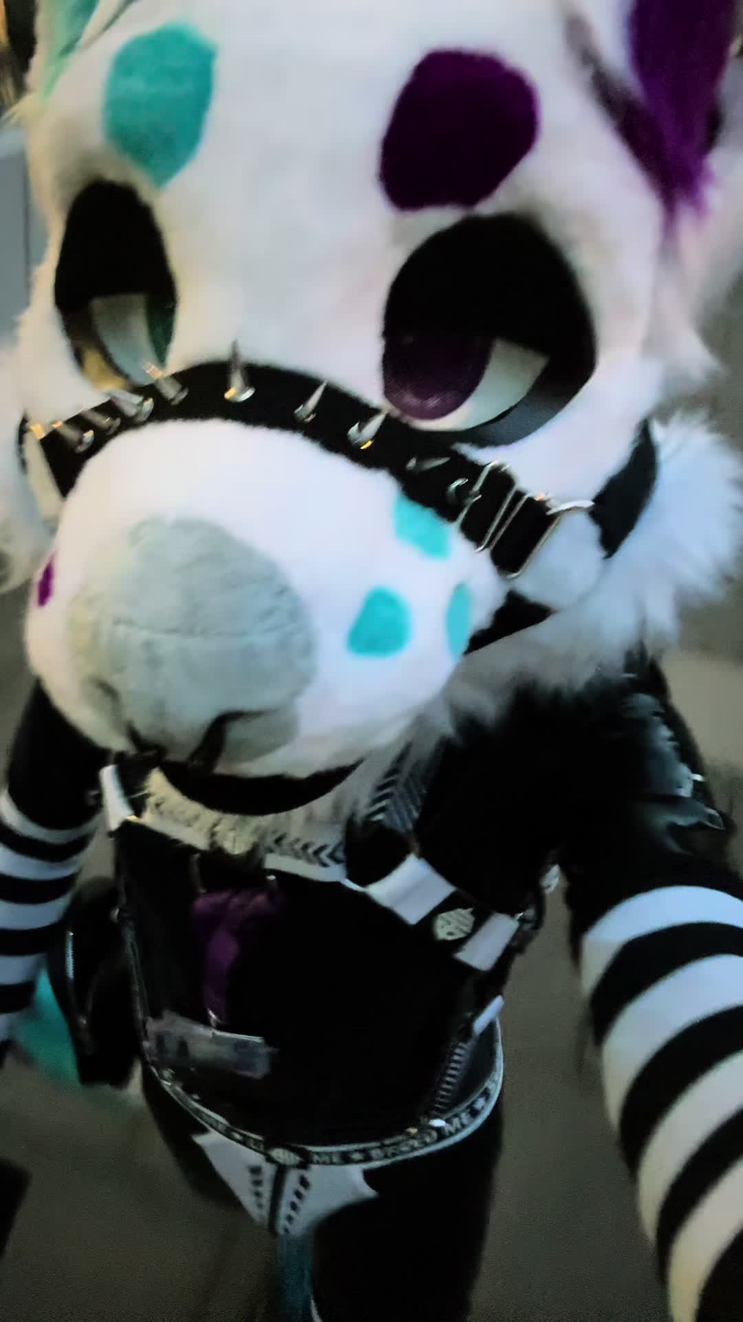 @✨Nekura the Fox✨