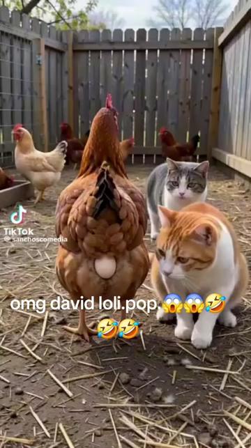 @🇪🇸valentina Go 🤣💋🤗❤️🇩🇪