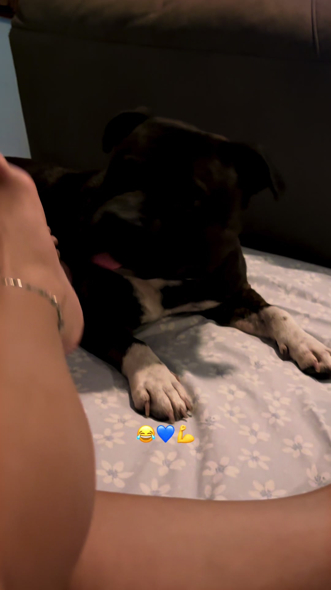 @tina.1988.🫶🌸🫅🇦🇱