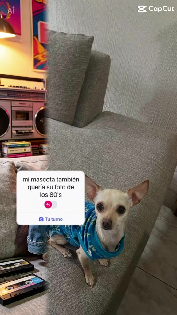 @Channel 🐶