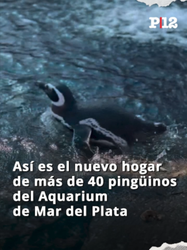 @Página|12