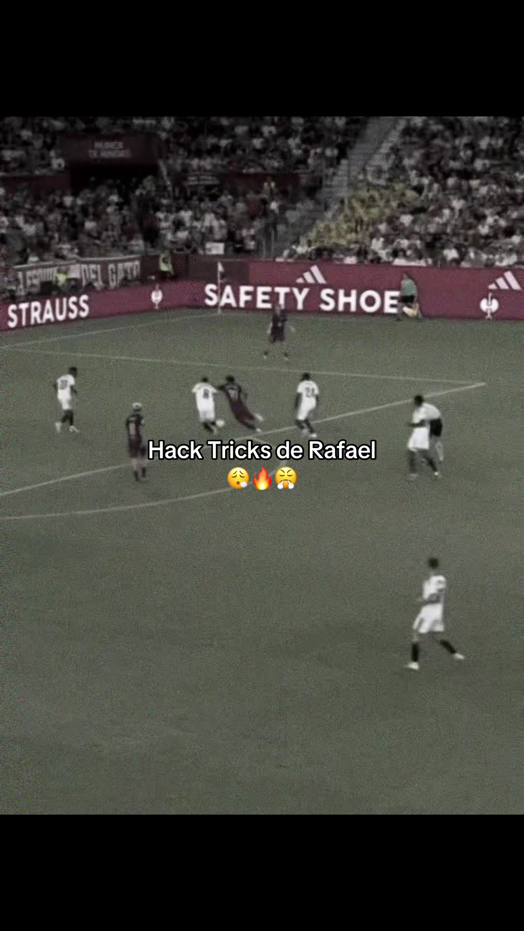 @mini fcb