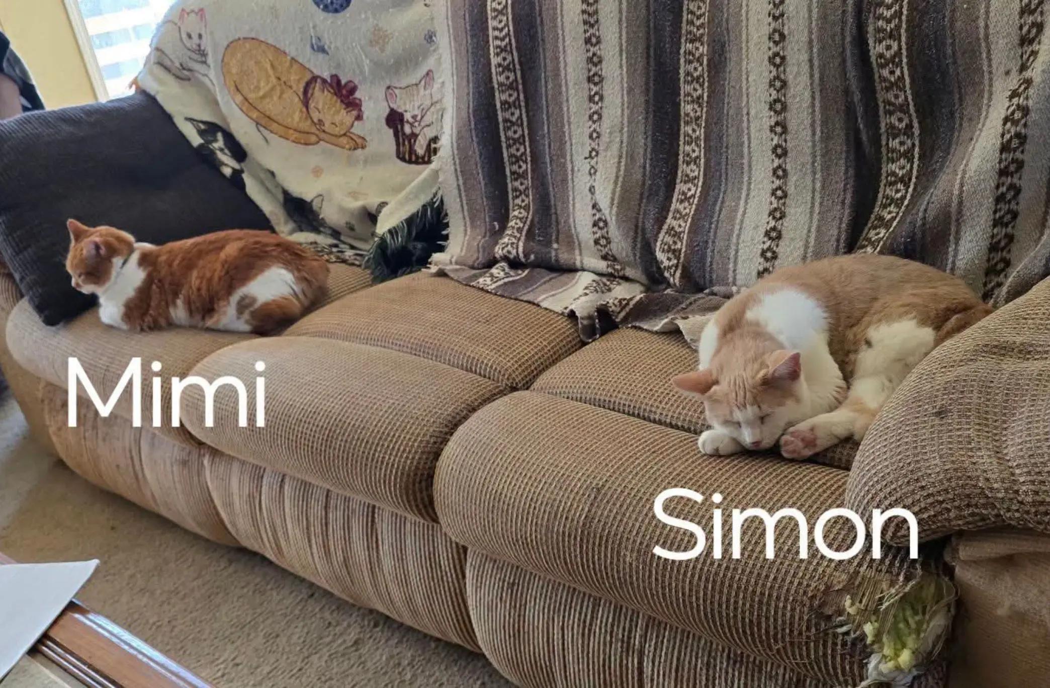@#simonandfriends