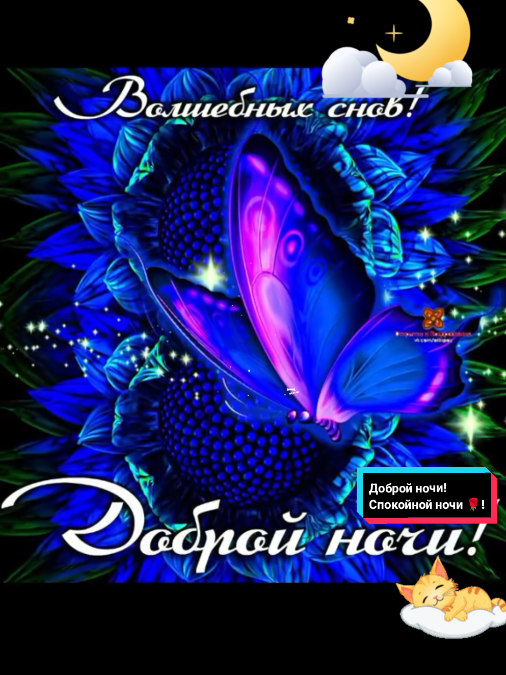 @Z.Svirgunova