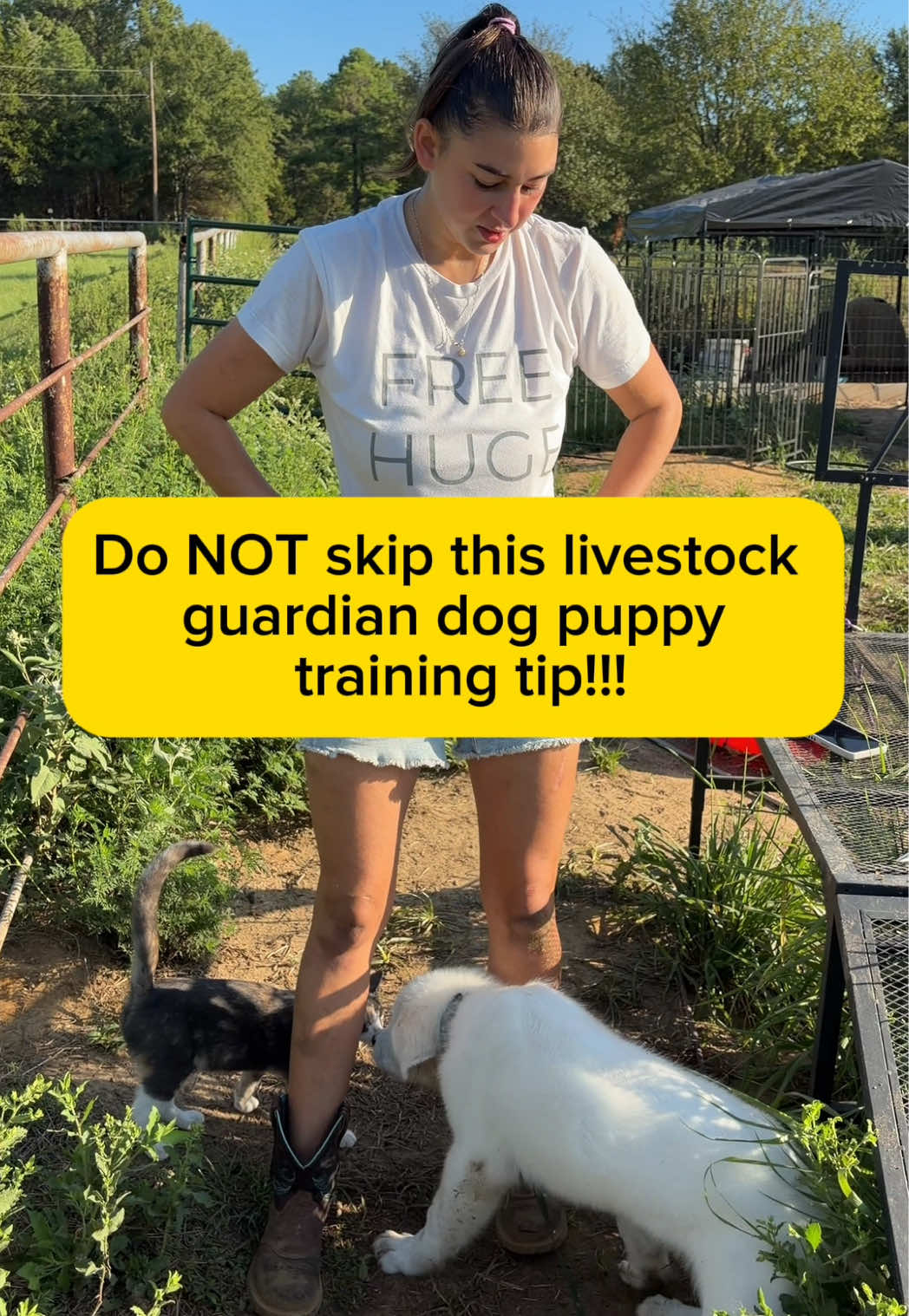@Heart & Hoof Homestead