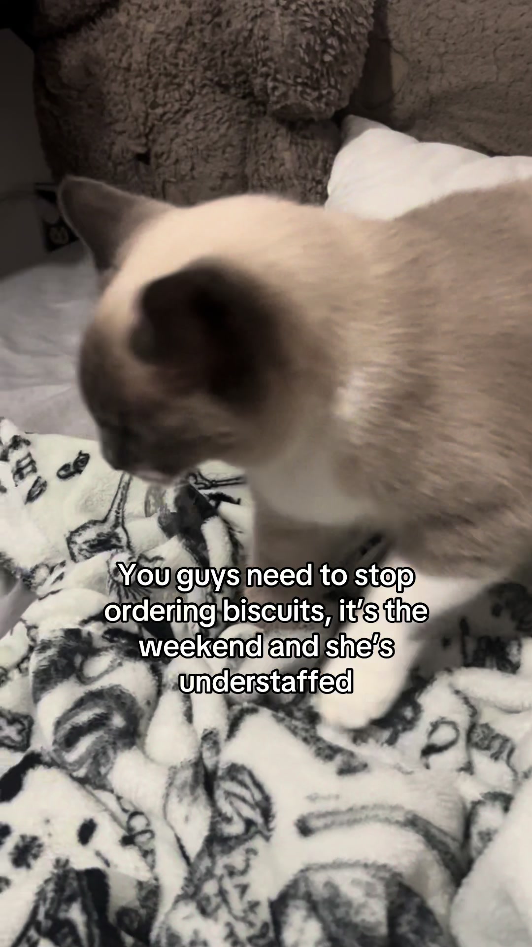 @︎ ✮
