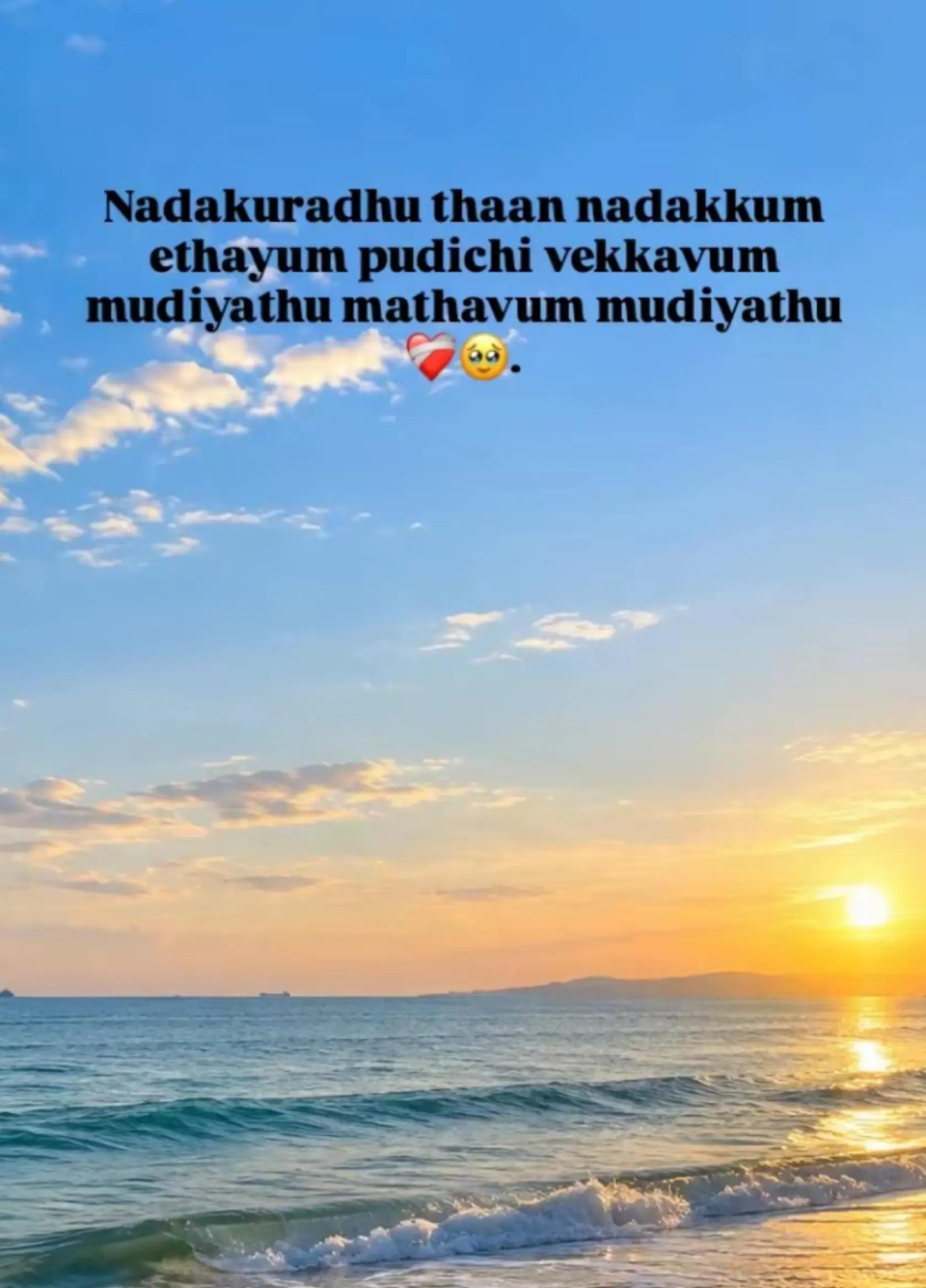 @🖤saras🖤