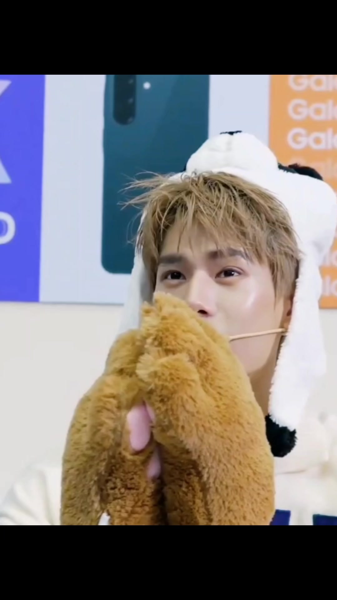 @ℙ𝕙𝕦𝕨𝕚𝕟𝕥𝕒𝕟𝕘💗ℙℙℙ🐼🐻