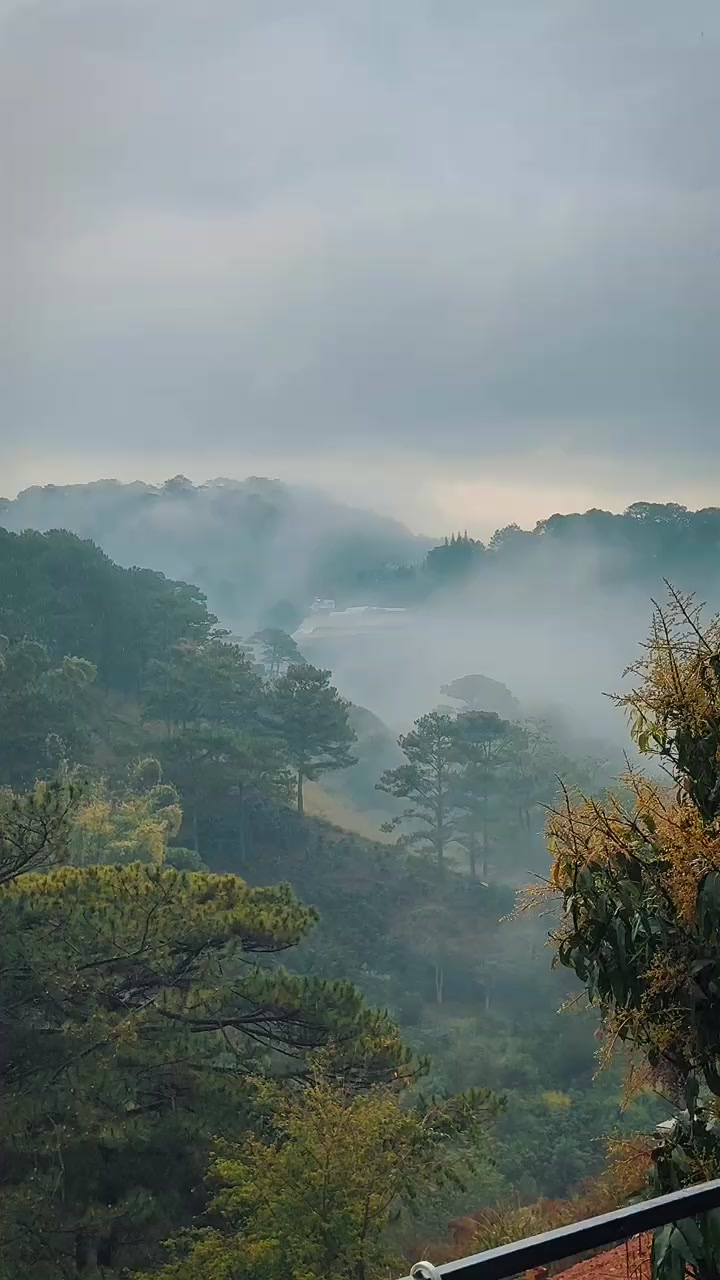 @Trốn L&ecirc;n Đ&agrave; Lạt ☘️