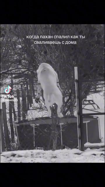 @♐️ Slava ♐️