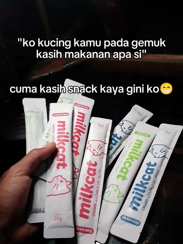 @Catman
