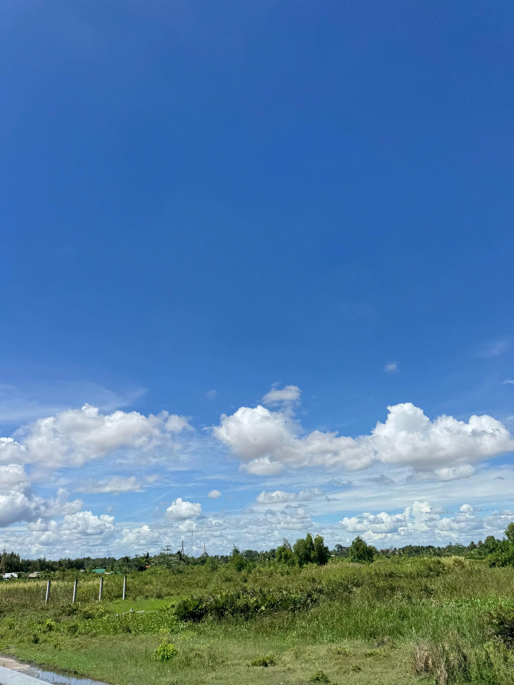 @Diên Diên