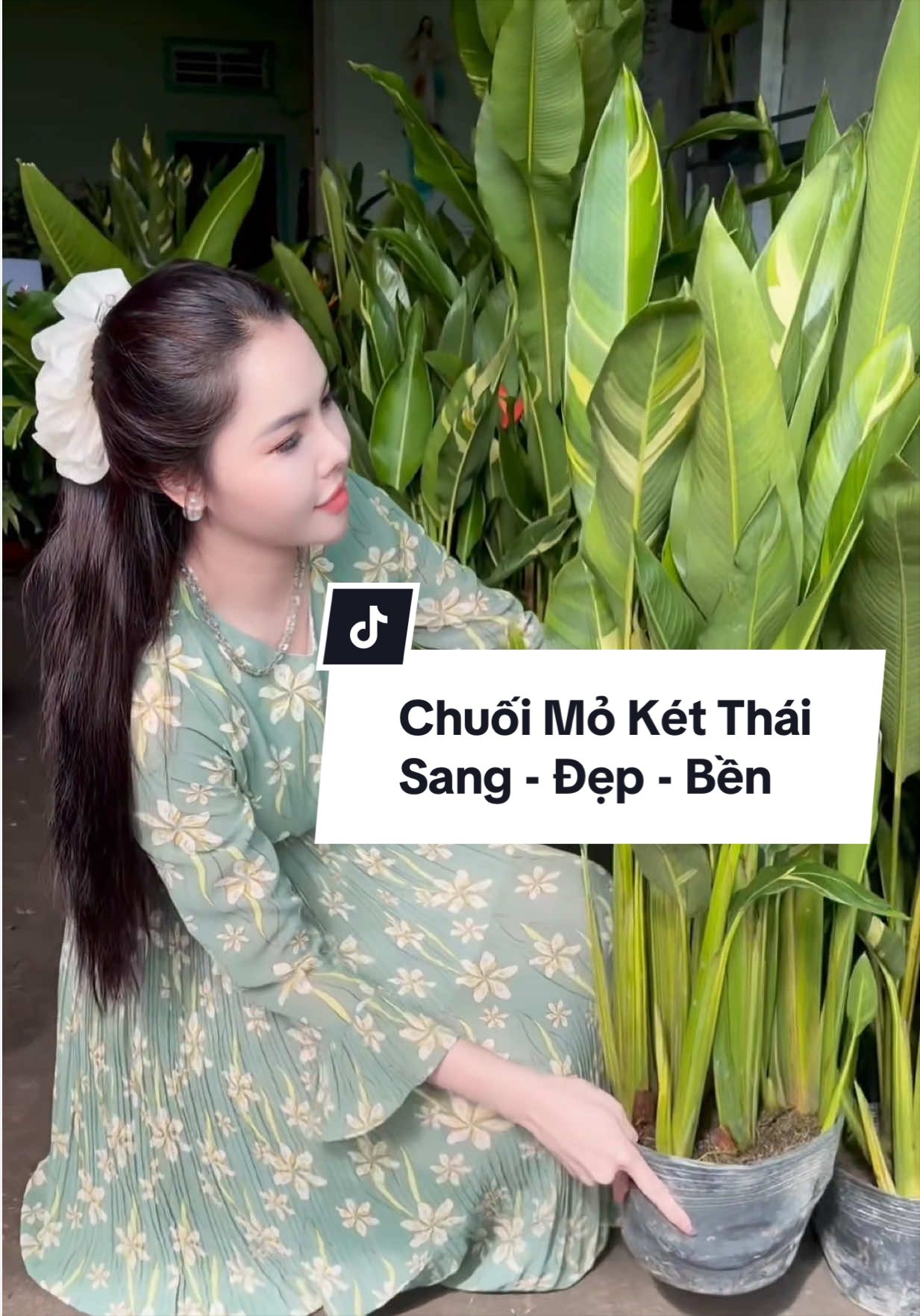 @Tiệm Lá Nhỏ