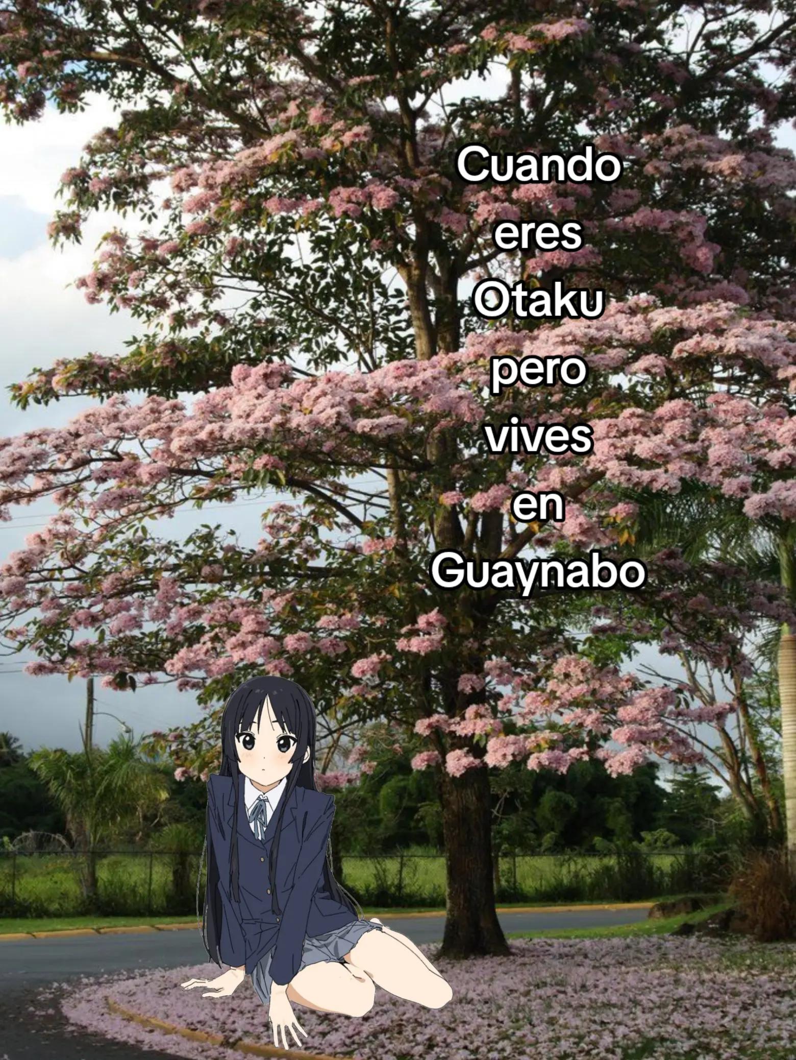 @ℓ&upsilon;нѕ&iota;&sigma;&eta;