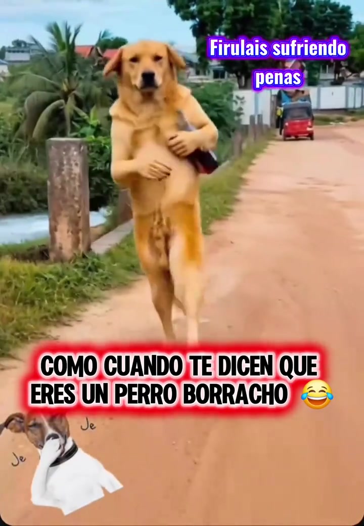 @PanchoLopez