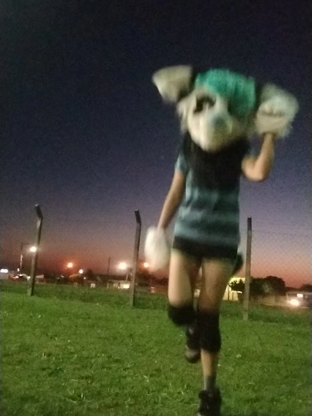 @𐂯✮⋆𝙷𝚞𝚙𝚘𝚕˙𓃡₊˚⊹🐾