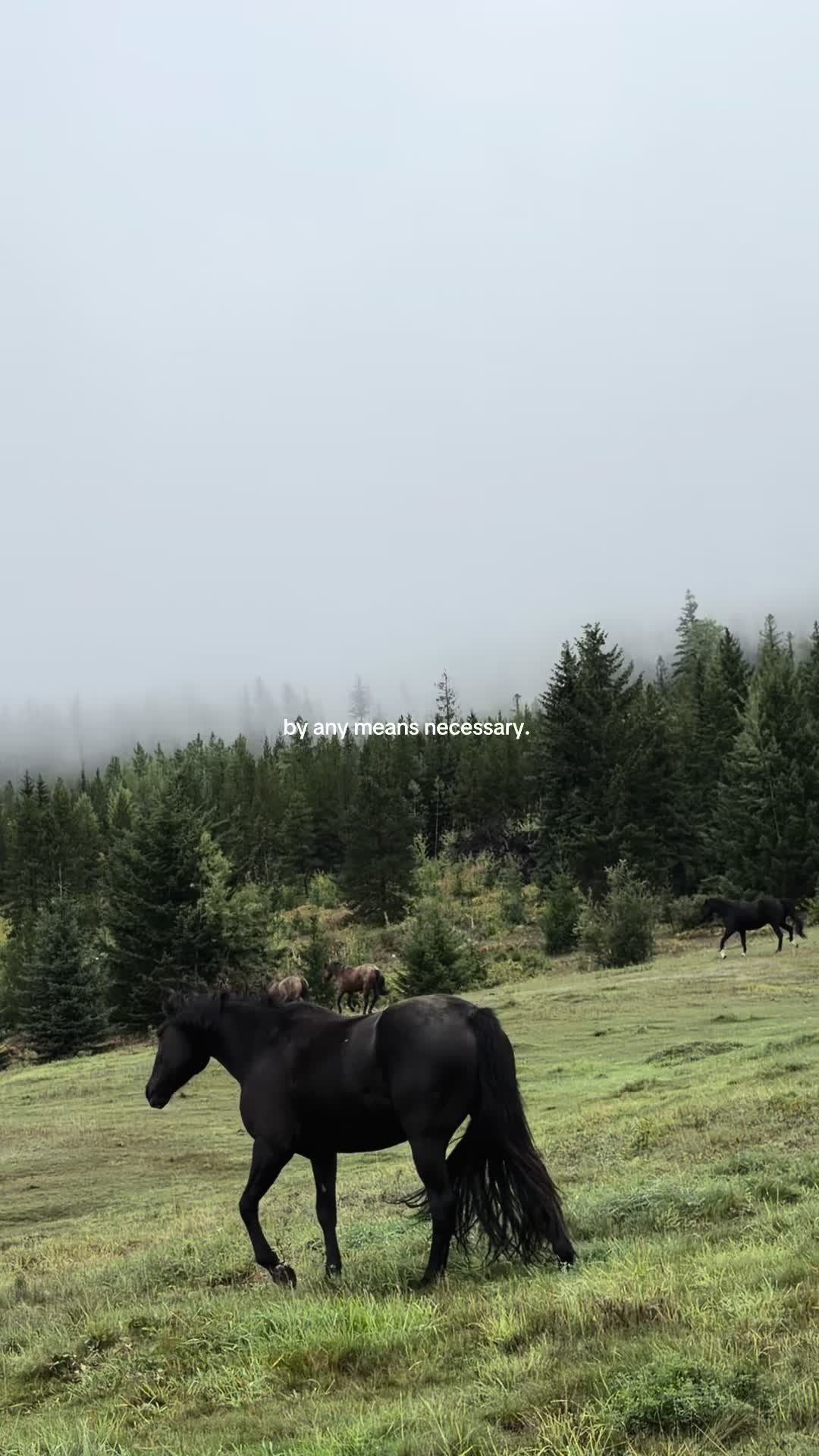 @Ranch Riders