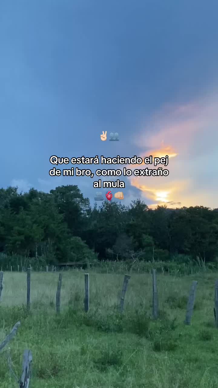 @𝖢𝖠𝖱𝖫𝖮𝖲 𓇽 𝖳𝖢