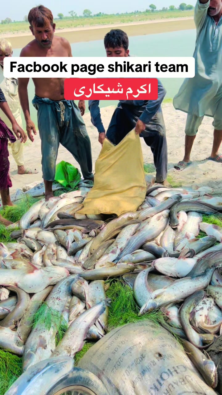 @M akram 786