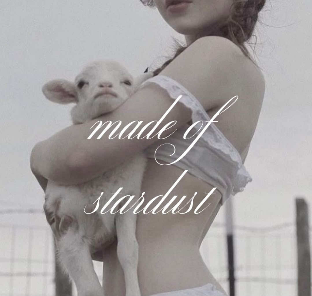 @🪽