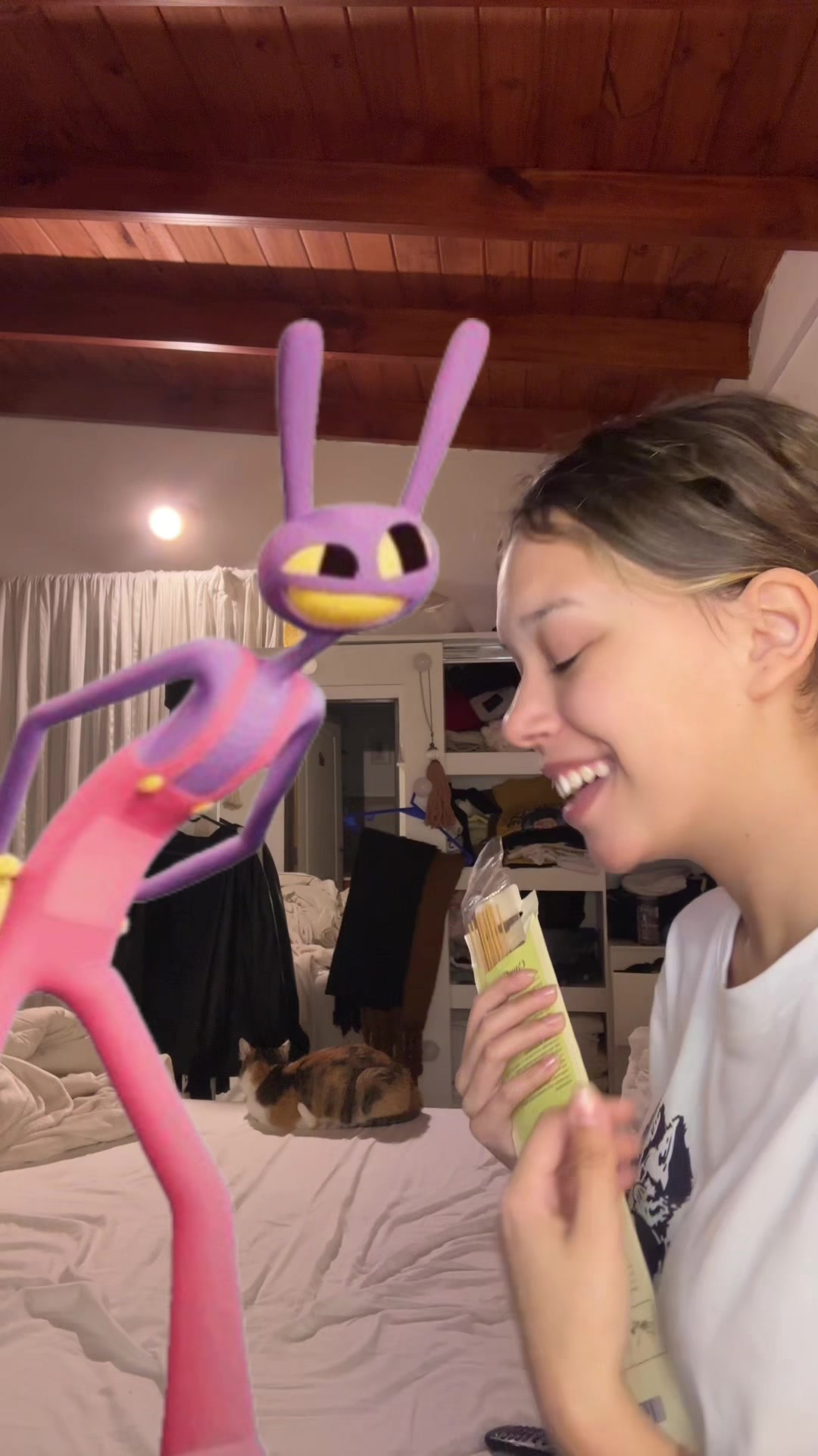 @caconeta
