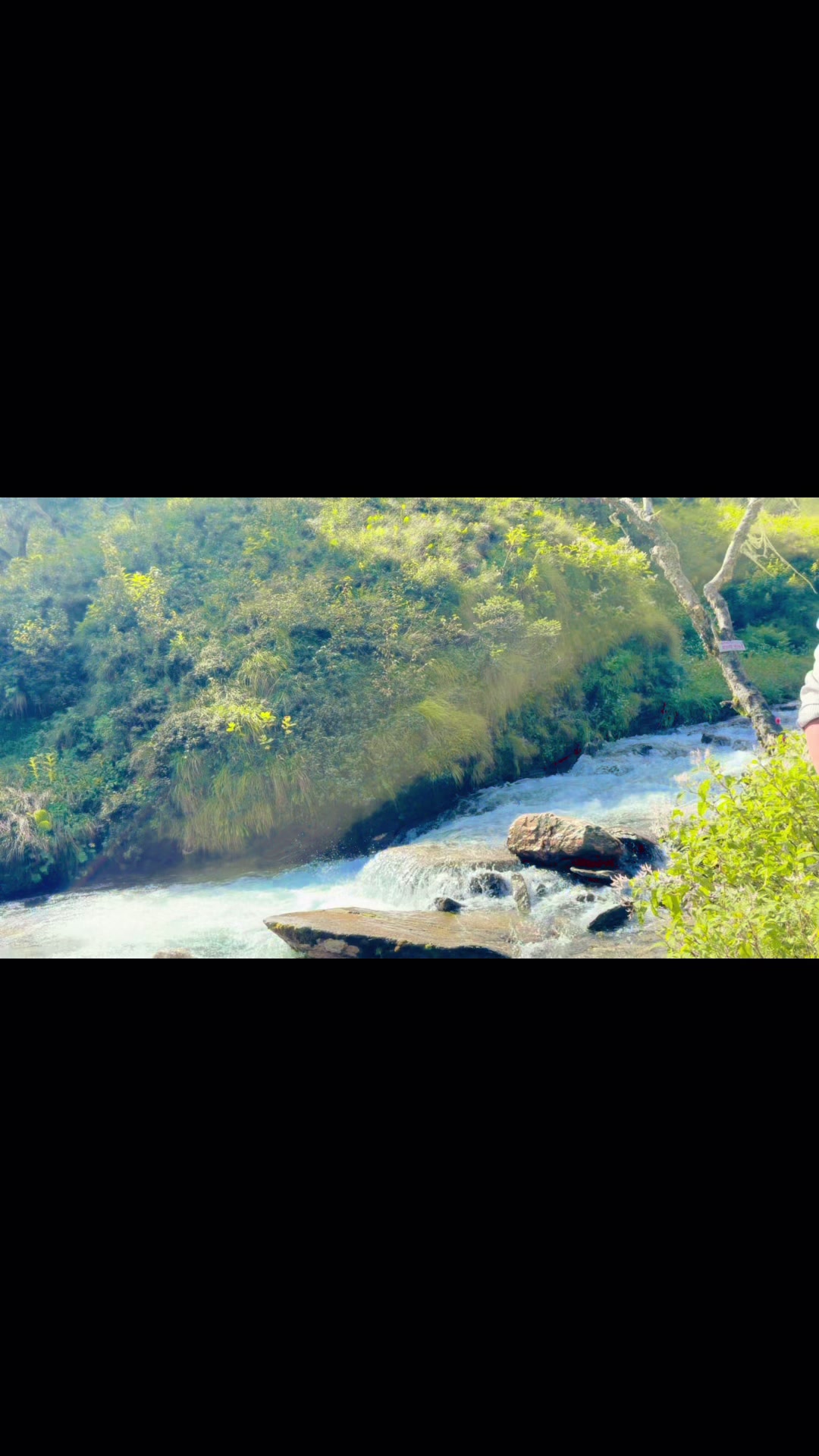 @Gaire Dai