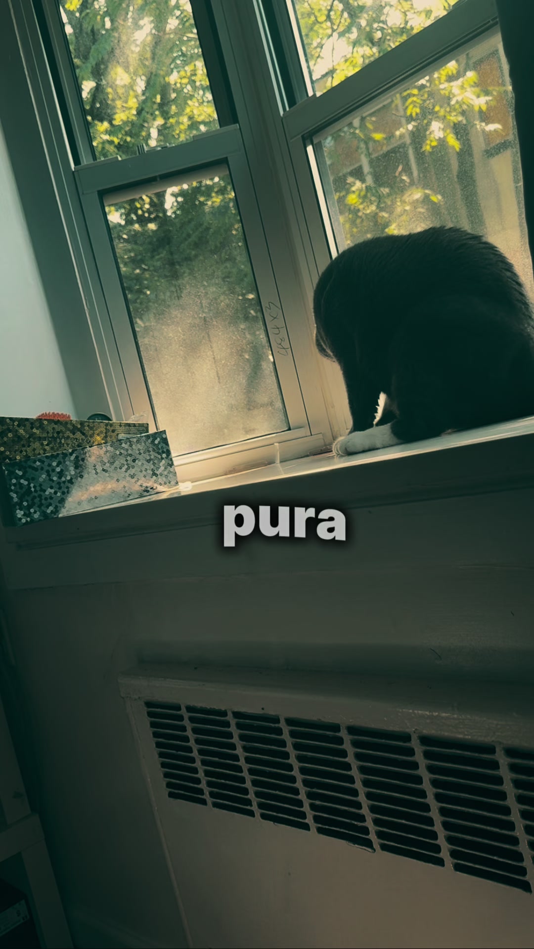 @🍀🧿NEGRA🧿🍀🖤