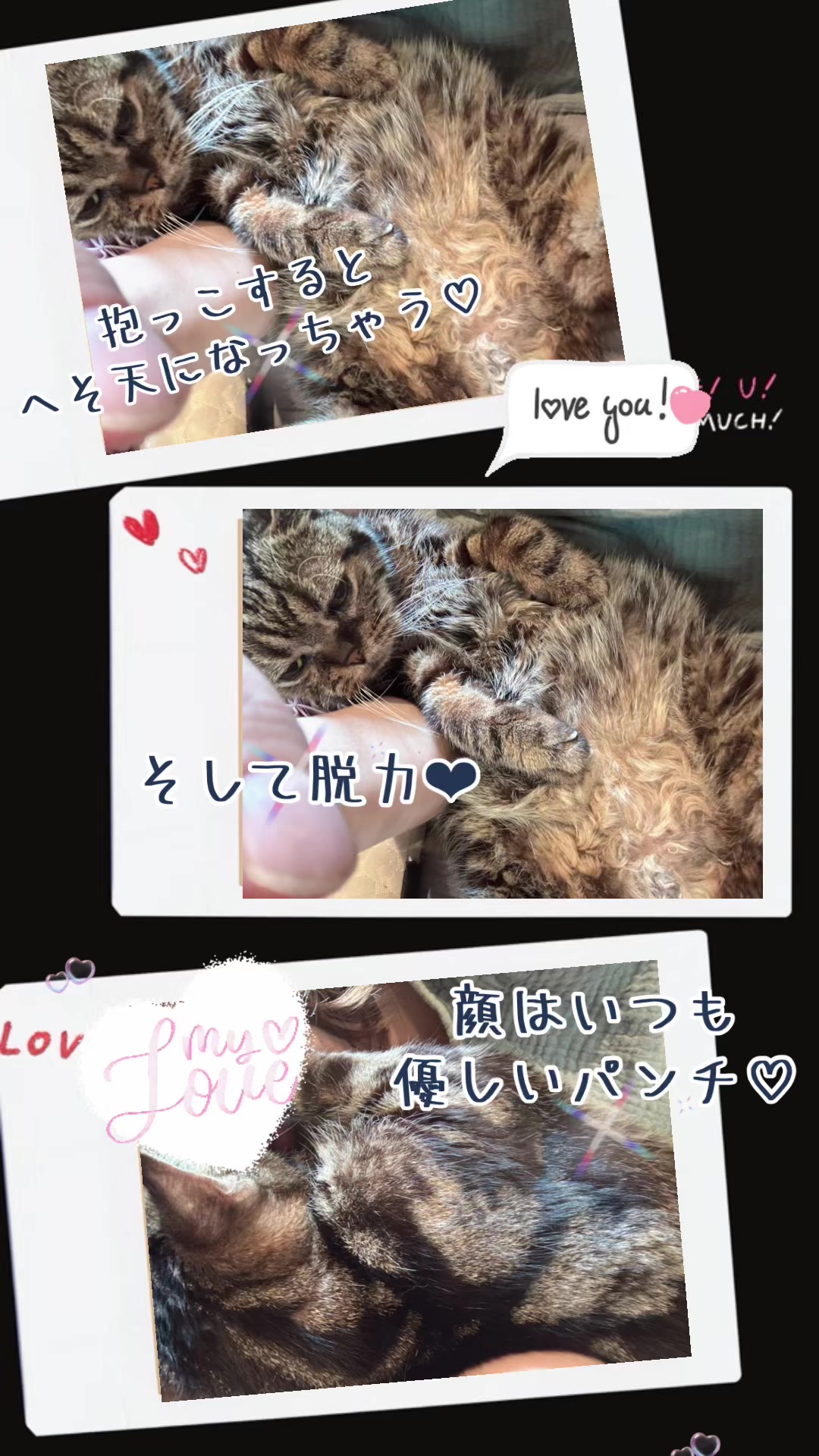 @ふわほぺ💎&infin;💎猫好き