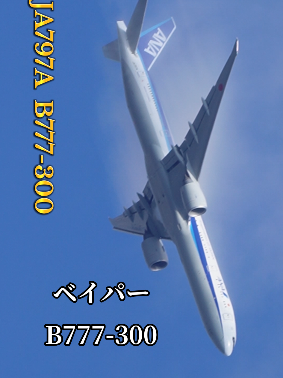 @そらねこ🐱sky cat