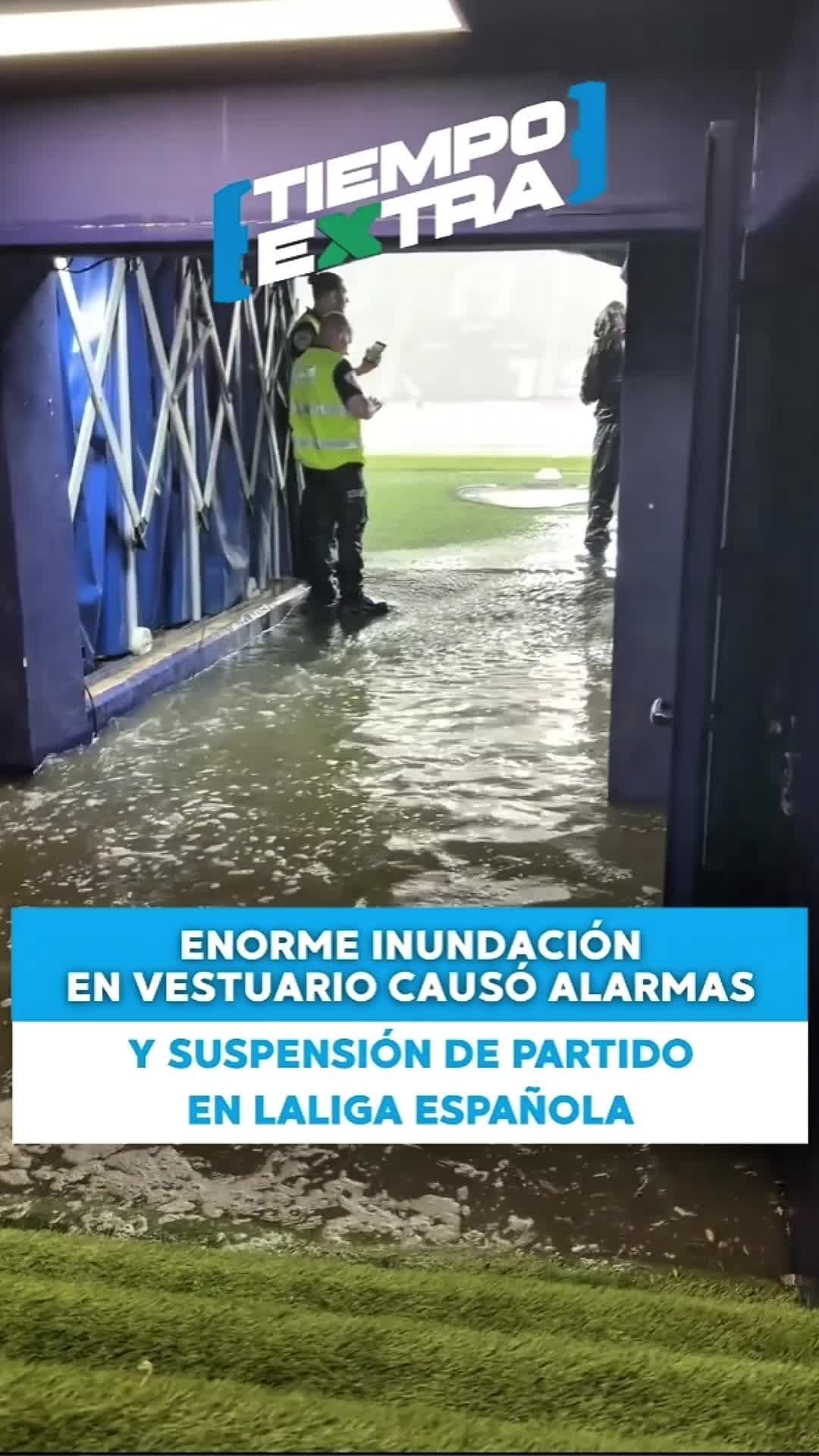 @eldiariony