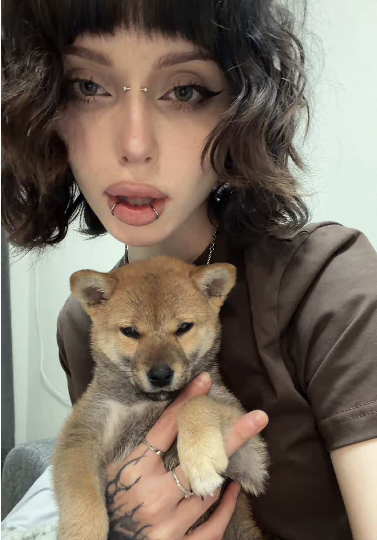 @алиска аддикция
