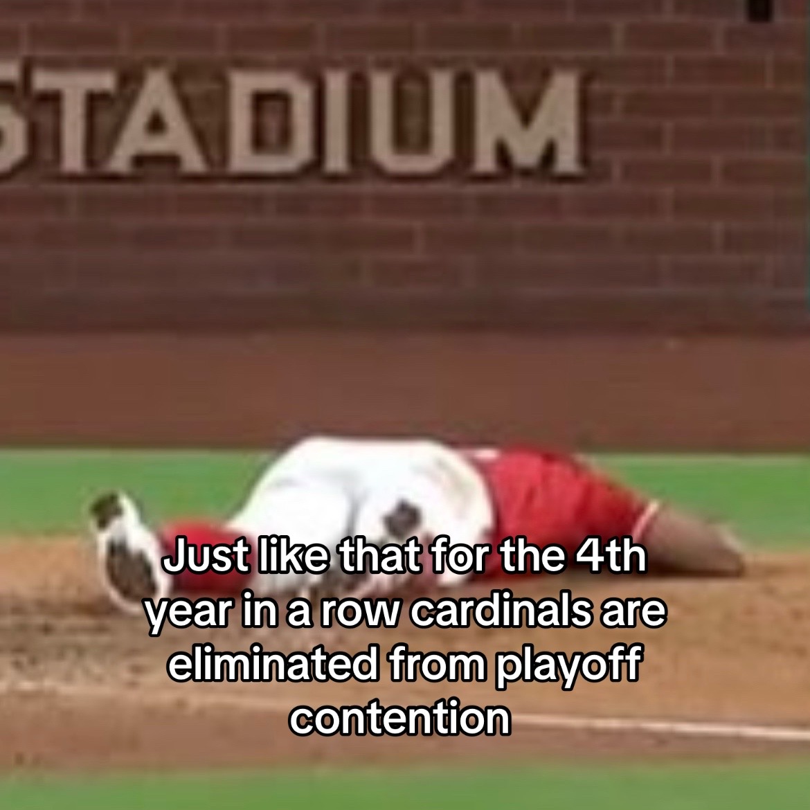 @faze_niko54 Redbirds post