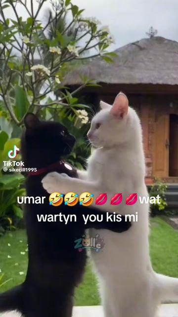 @🇪🇸valentina Go 🤣💋🤗❤️🇩🇪