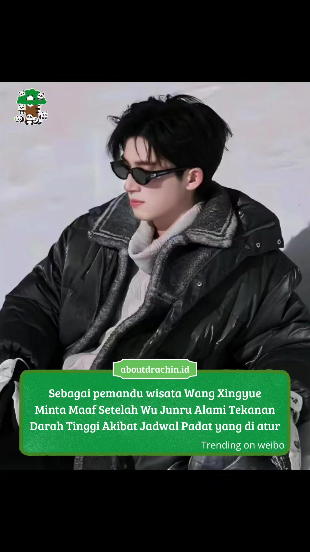 @About Drachin || Jastip