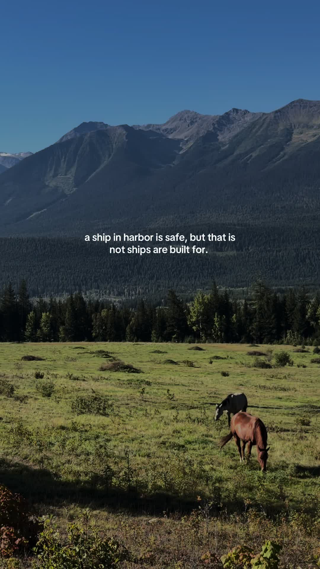 @Ranch Riders
