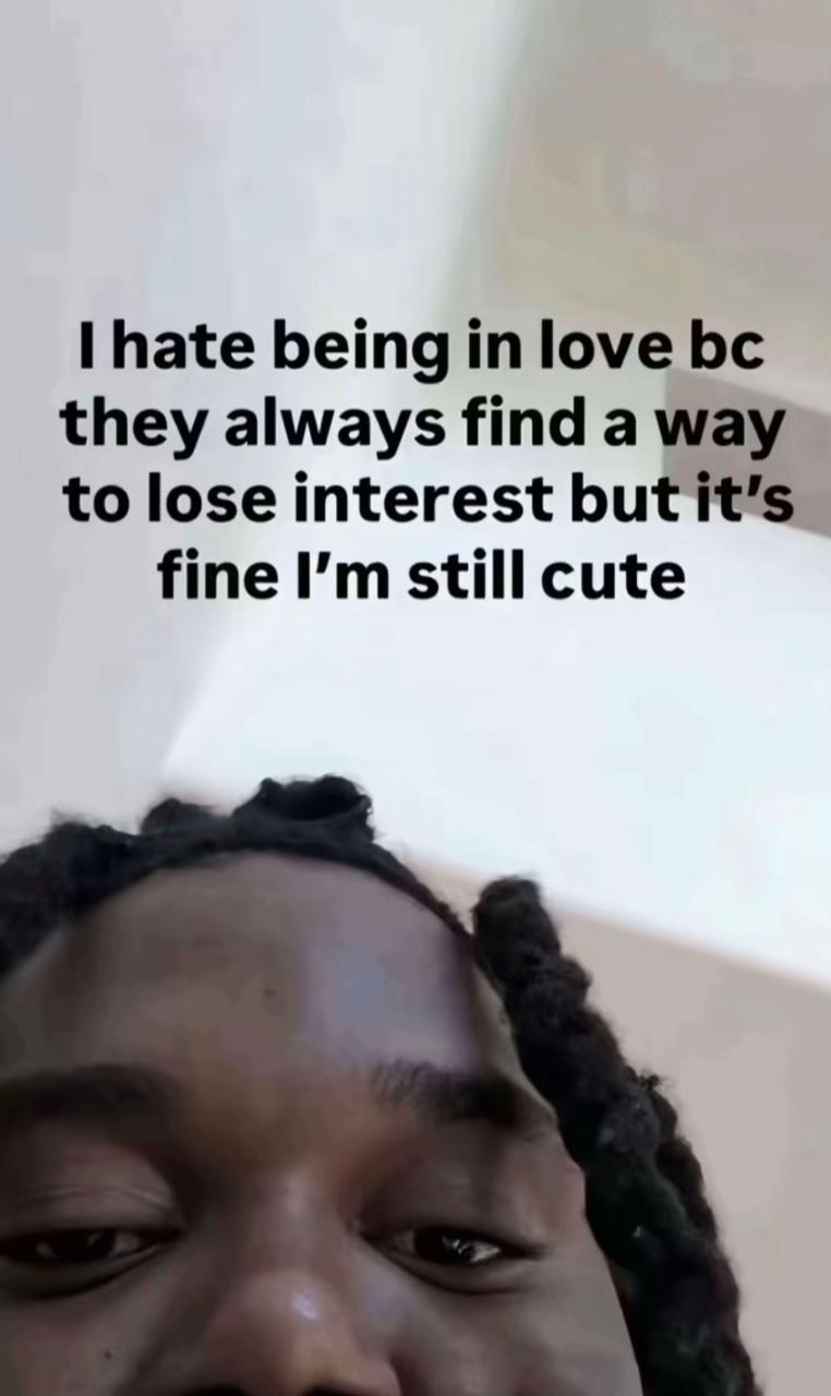 @🐨