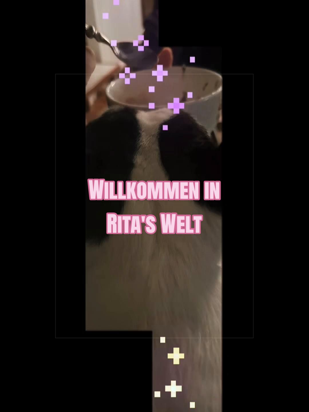 @Mein Blickwinkel 👀