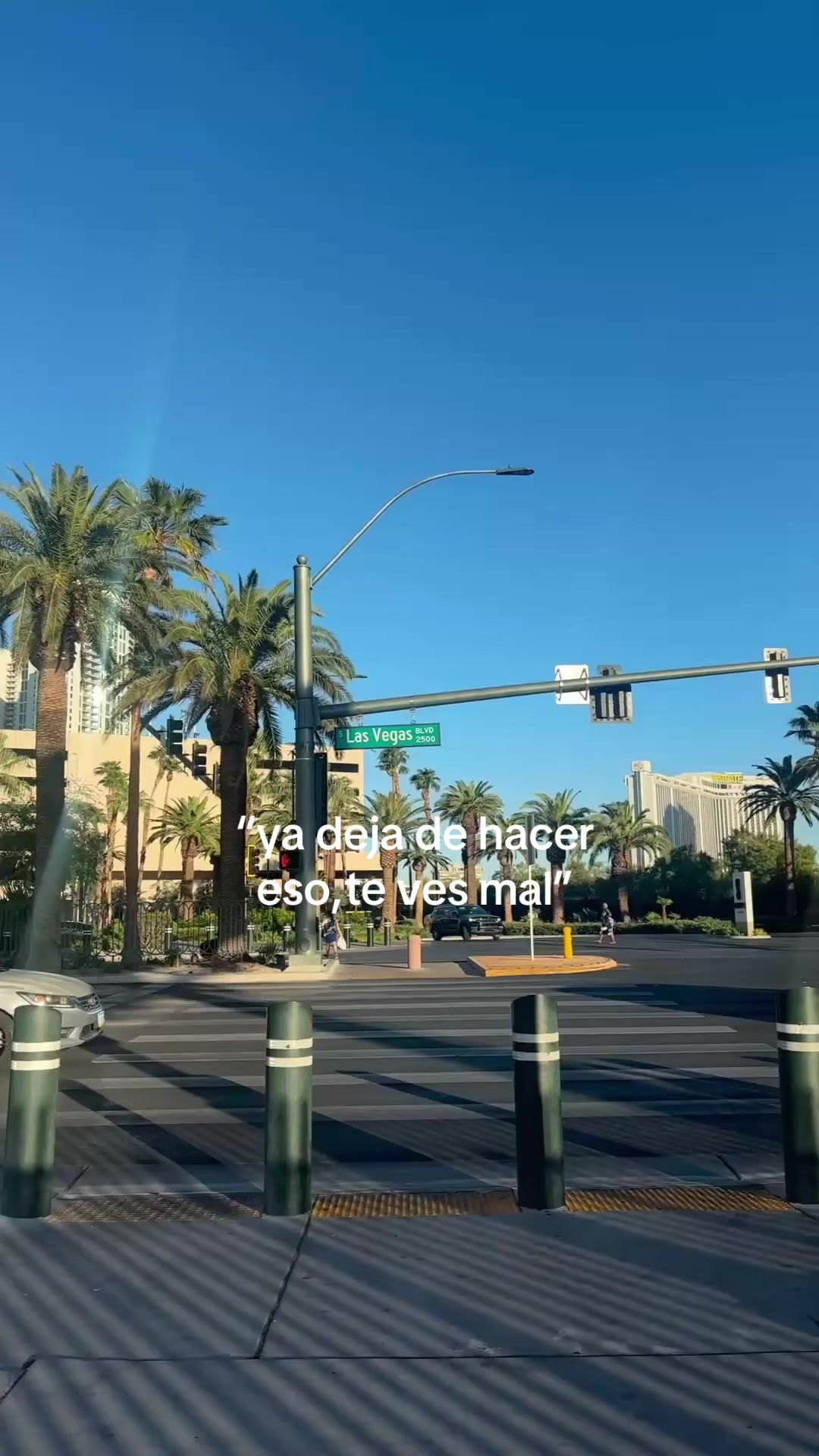 @ara🐚