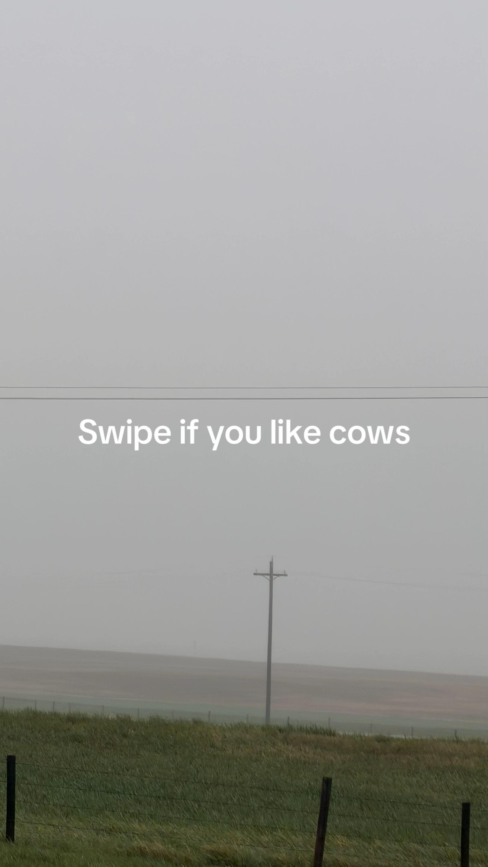 @Shane