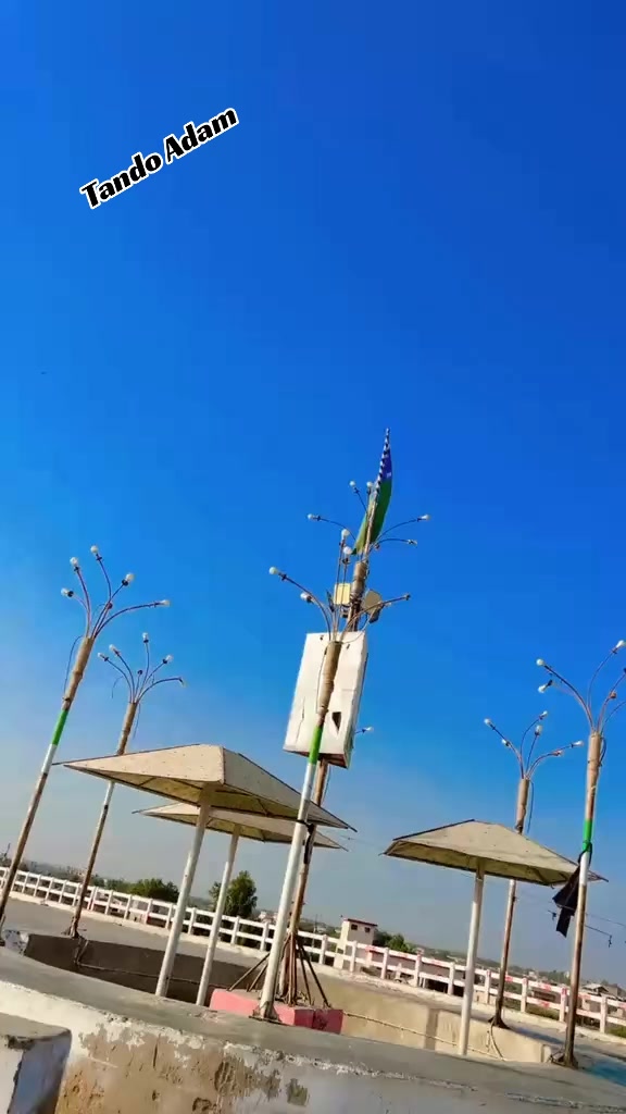 @ɪᴹ᭄Mᴵˢˢ ᶻᴵᴰᴰᴵ✭
