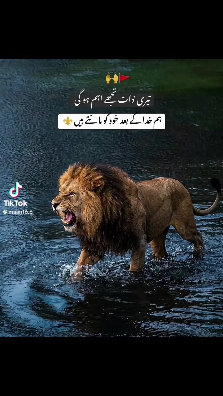 @⚜️𝐋𝐄𝐎𝐍𝐈𝐃𝐀𝐒 ⚜️🇫🇷🇵🇰
