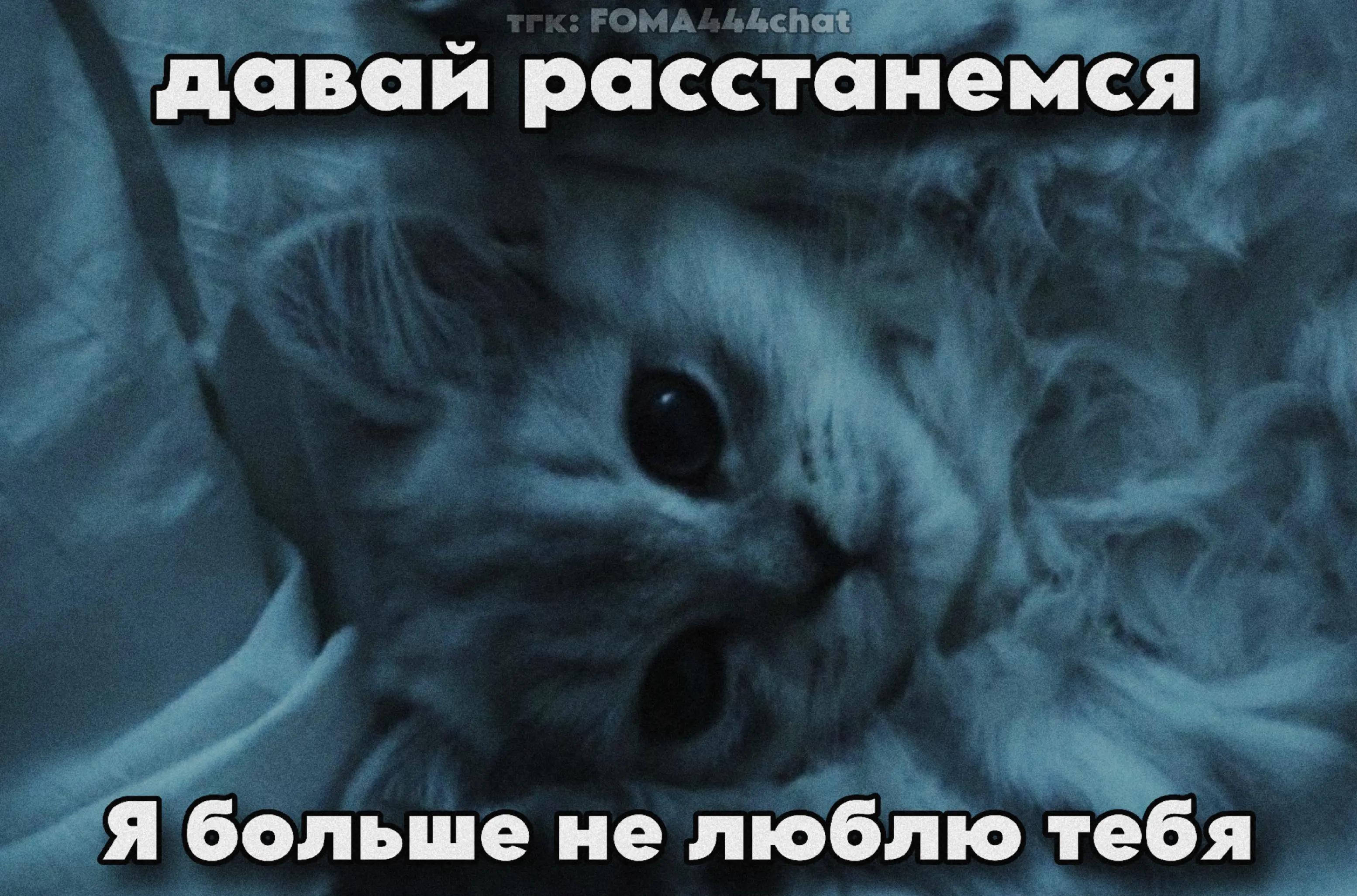 @тгк: FOMA444chat