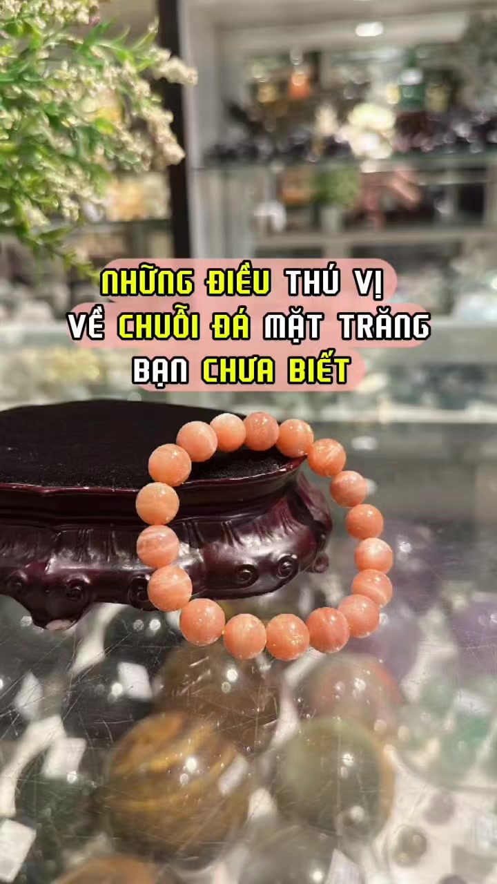 @Linh Vật Phong Thủy ☑️