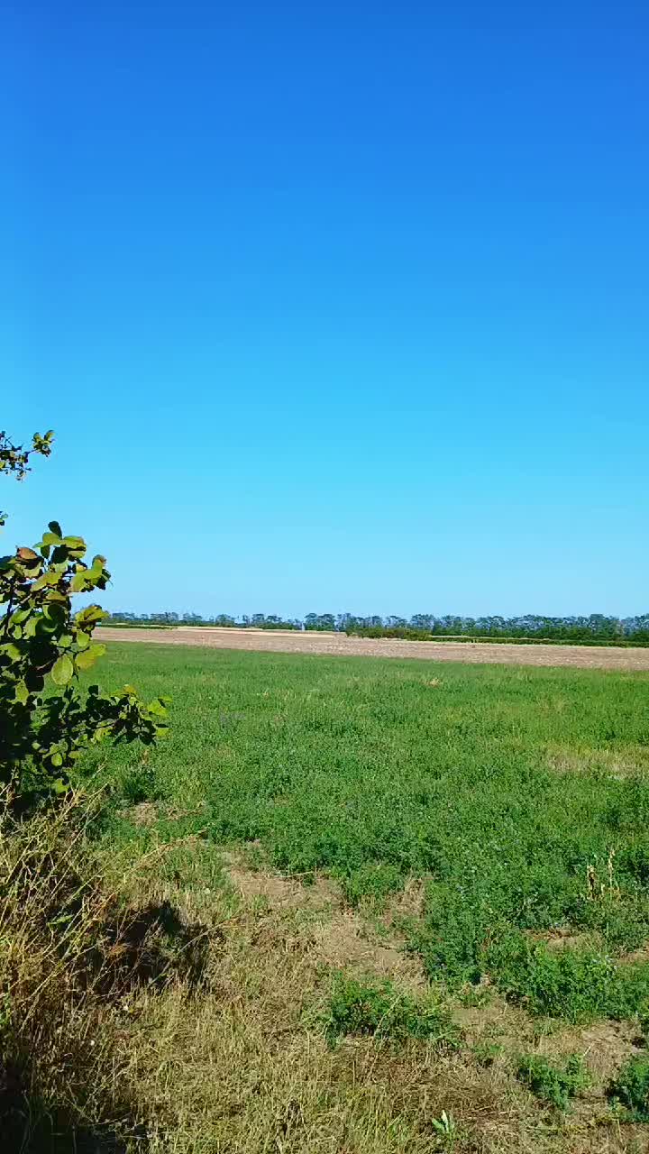 @ДИМОН