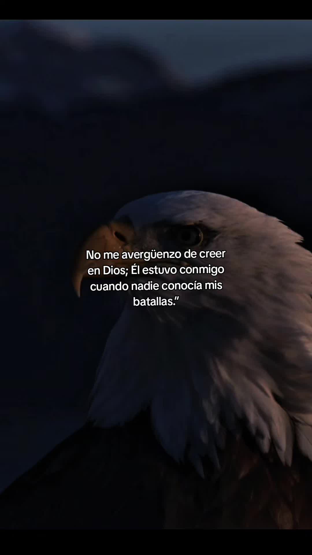 @🦁&ldquo;INFINITO&rdquo;✨️🕊