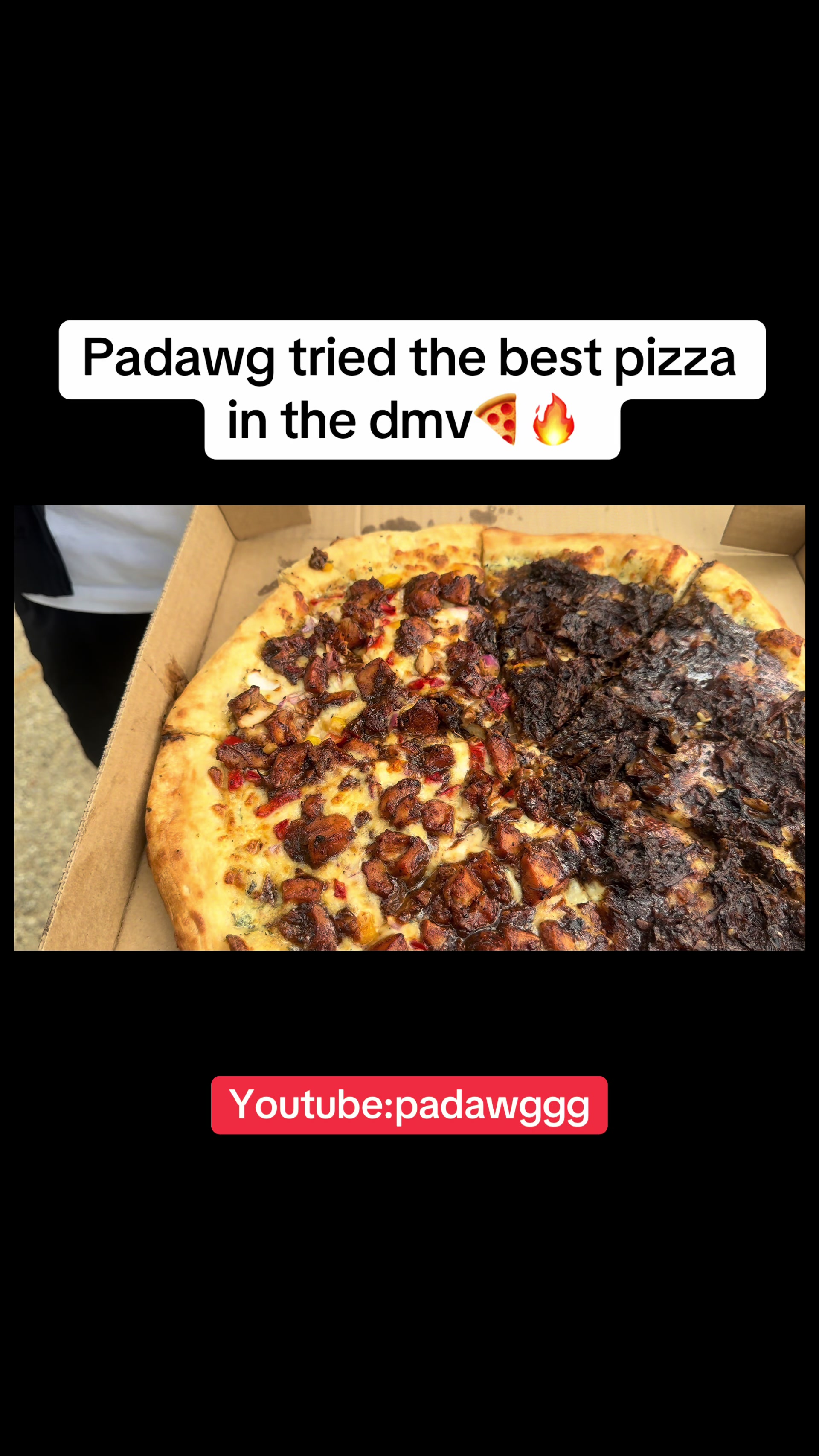 @padawg_
