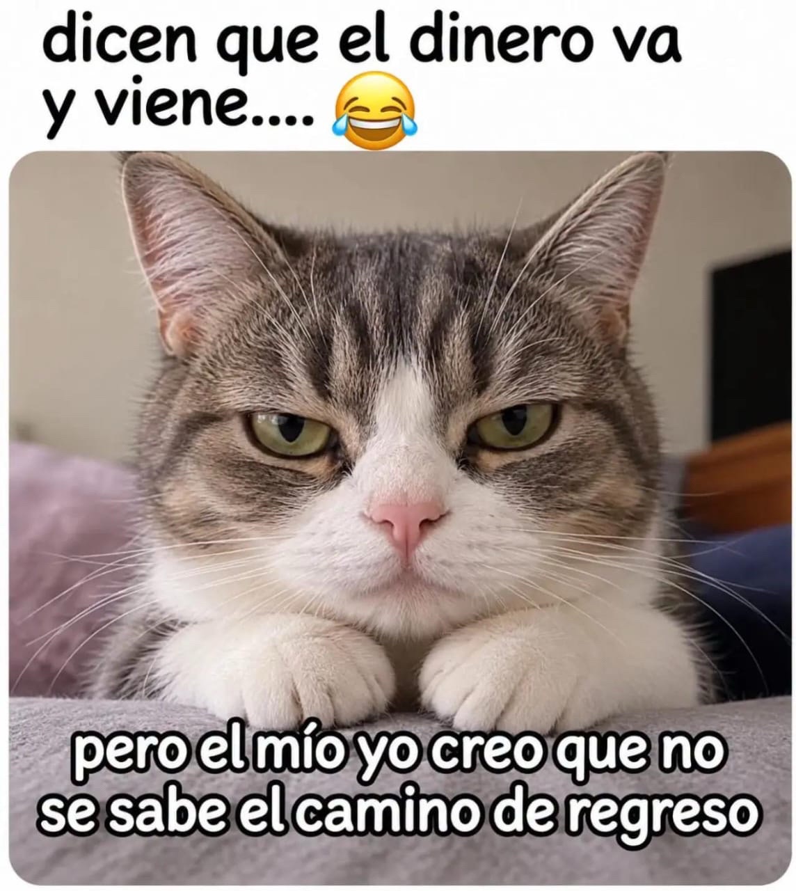 @PanchoLopez
