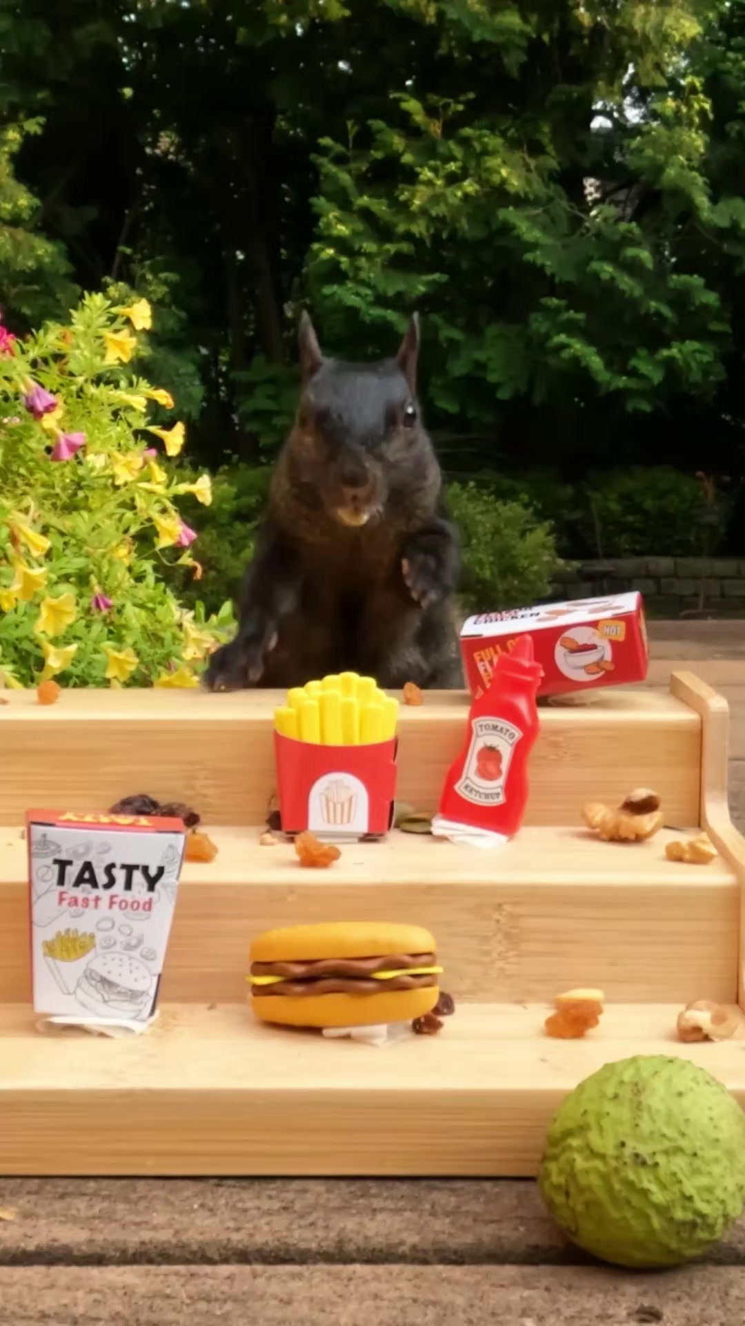 @youngmasterchu squirrel