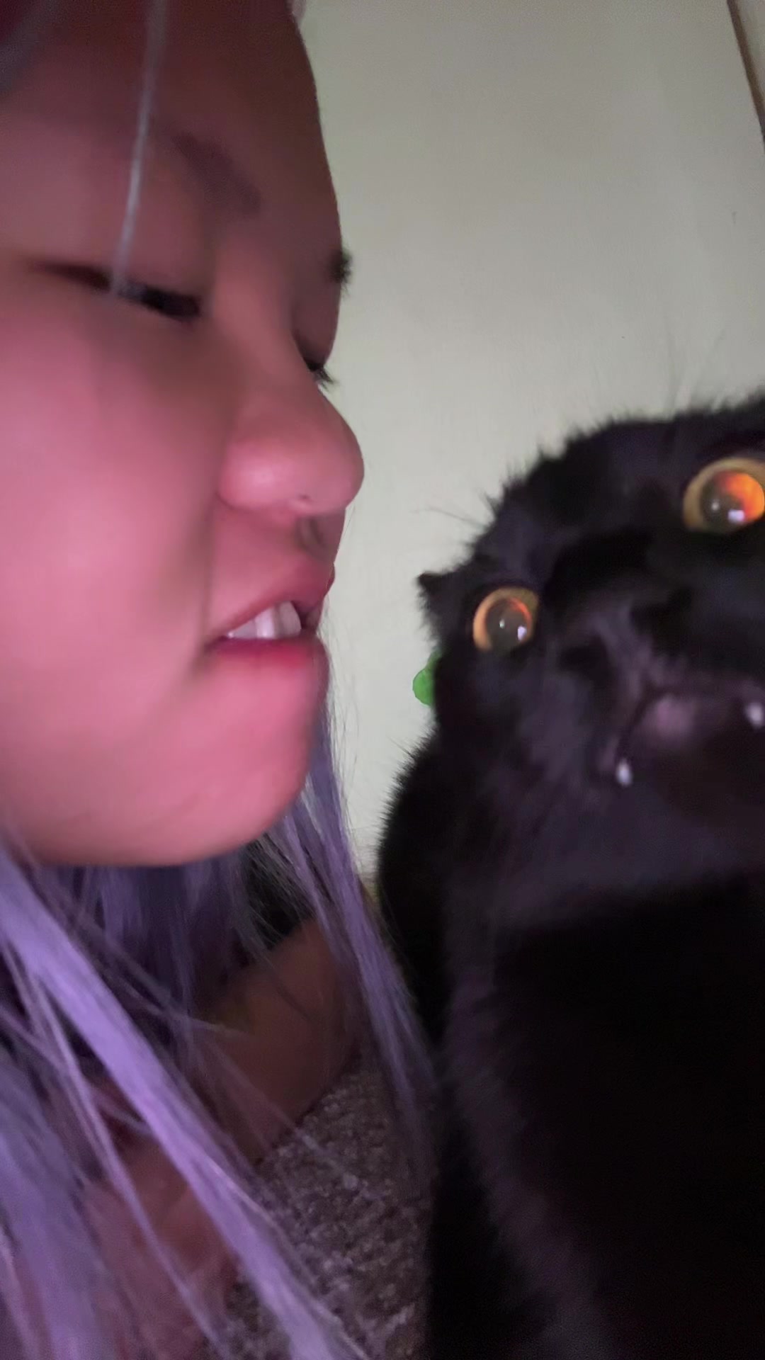 @︎ ✮