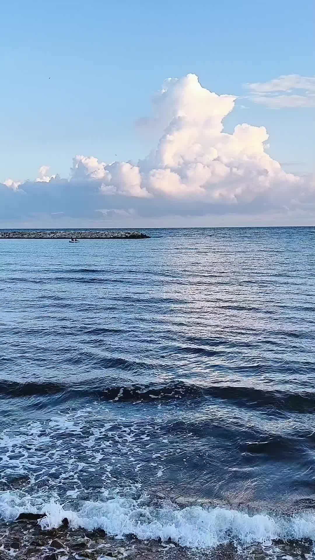 @cose della vita
